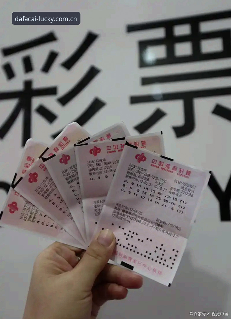 大发彩票平台2025新版使用指南：从注册到购彩的完整流程解析